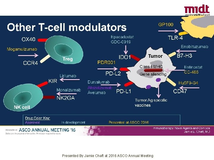 Other T-cell modulators Presented By Jamie Chaft at 2016 ASCO Annual Meeting 