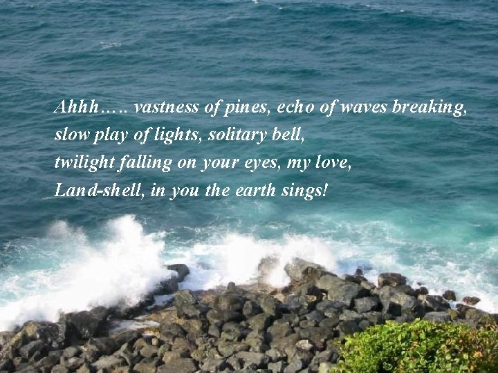 Ahhh…. . vastness of pines, echo of waves breaking, slow play of lights, solitary