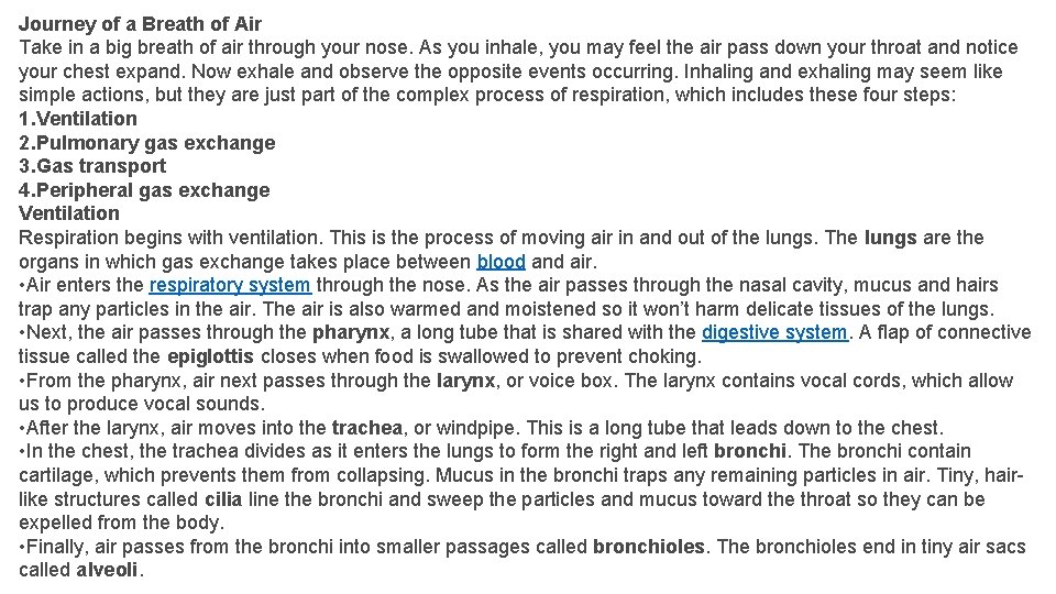 Journey of a Breath of Air Take in a big breath of air through