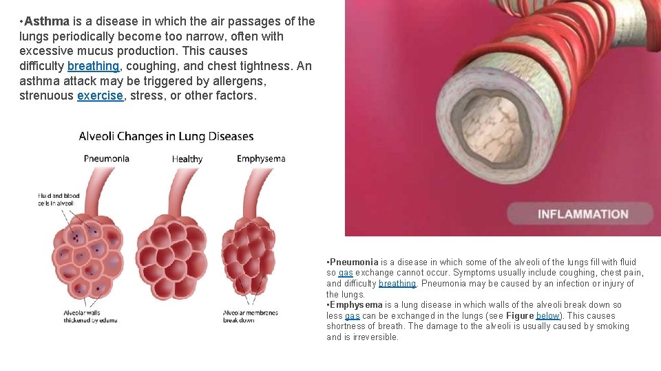  • Asthma is a disease in which the air passages of the lungs