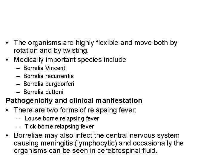  • The organisms are highly flexible and move both by rotation and by