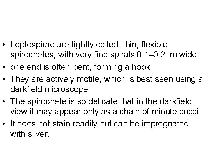  • Leptospirae are tightly coiled, thin, flexible spirochetes, with very fine spirals 0.