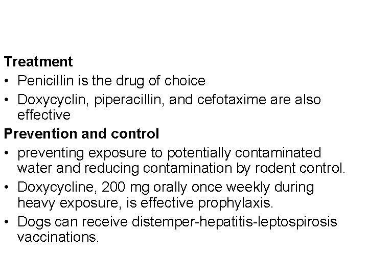 Treatment • Penicillin is the drug of choice • Doxycyclin, piperacillin, and cefotaxime are