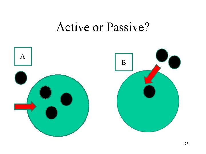 Active or Passive? A B 23 