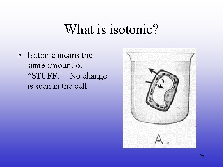 What is isotonic? • Isotonic means the same amount of “STUFF. ” No change