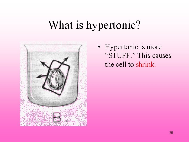 What is hypertonic? • Hypertonic is more “STUFF. ” This causes the cell to