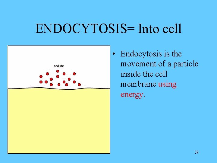 ENDOCYTOSIS= Into cell • Endocytosis is the movement of a particle inside the cell