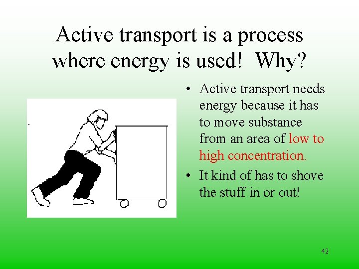 Active transport is a process where energy is used! Why? • Active transport needs