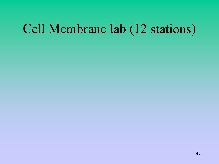 Cell Membrane lab (12 stations) 43 