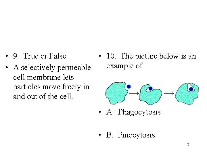  • 9. True or False • 10. The picture below is an example