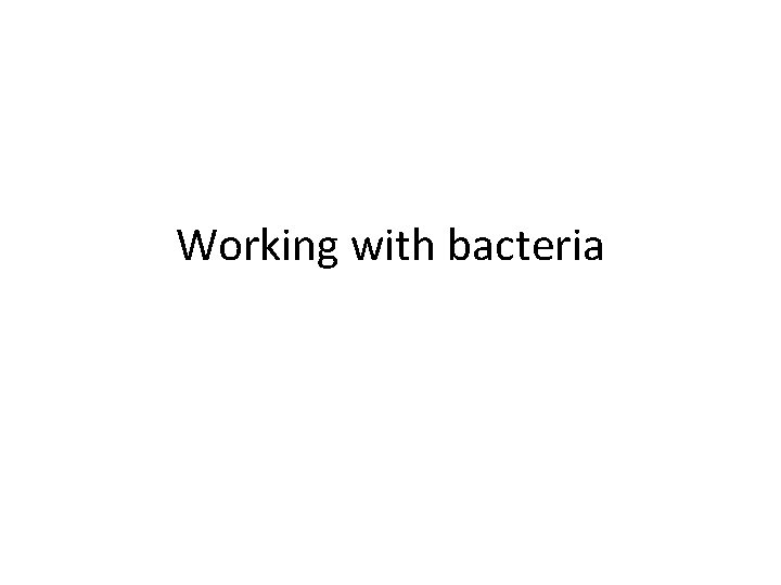 Working with bacteria 