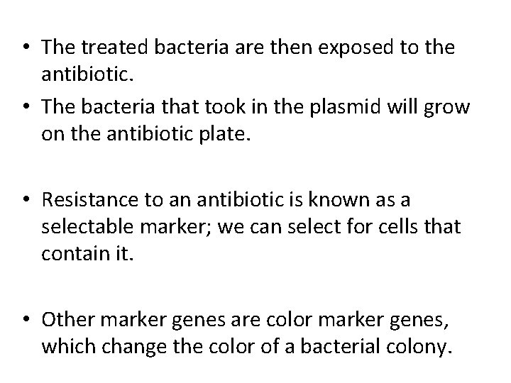  • The treated bacteria are then exposed to the antibiotic. • The bacteria