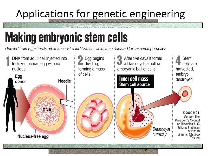 Applications for genetic engineering 