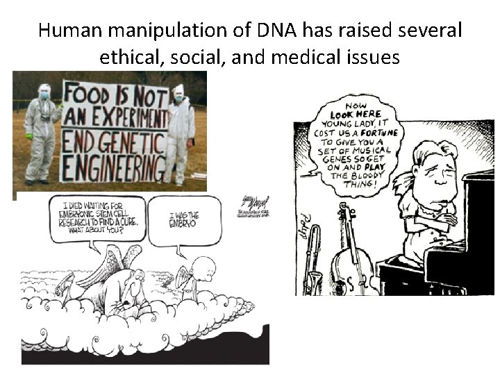 Human manipulation of DNA has raised several ethical, social, and medical issues 