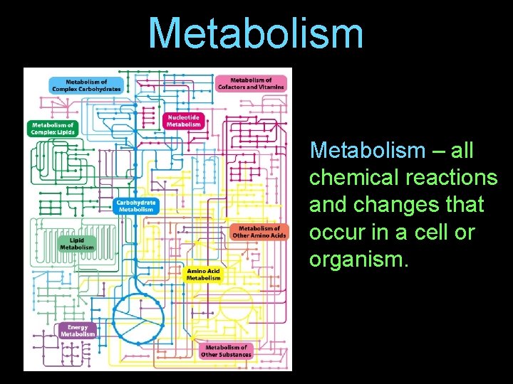 Metabolism – all chemical reactions and changes that occur in a cell or organism.