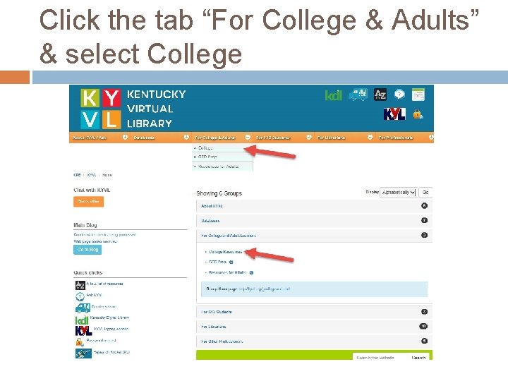Click the tab “For College & Adults” & select College 