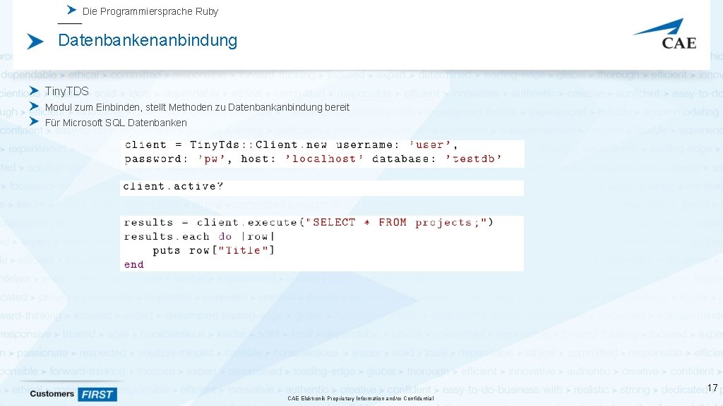 Die Programmiersprache Ruby Datenbankenanbindung Tiny. TDS Modul zum Einbinden, stellt Methoden zu Datenbankanbindung bereit