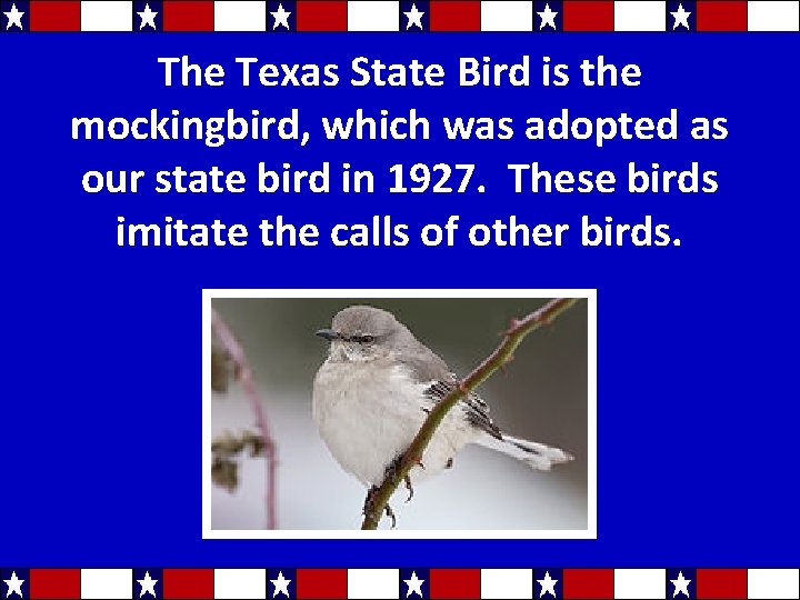 The Texas State Bird is the mockingbird, which was adopted as our state bird