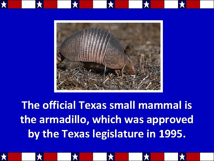 The official Texas small mammal is the armadillo, which was approved by the Texas