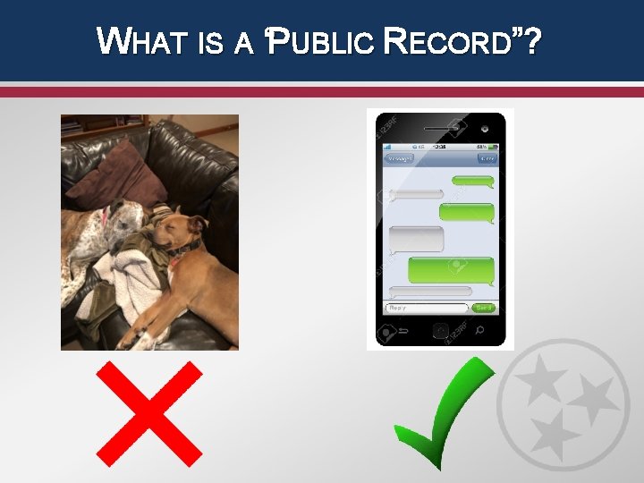 WHAT IS A “PUBLIC RECORD”? 