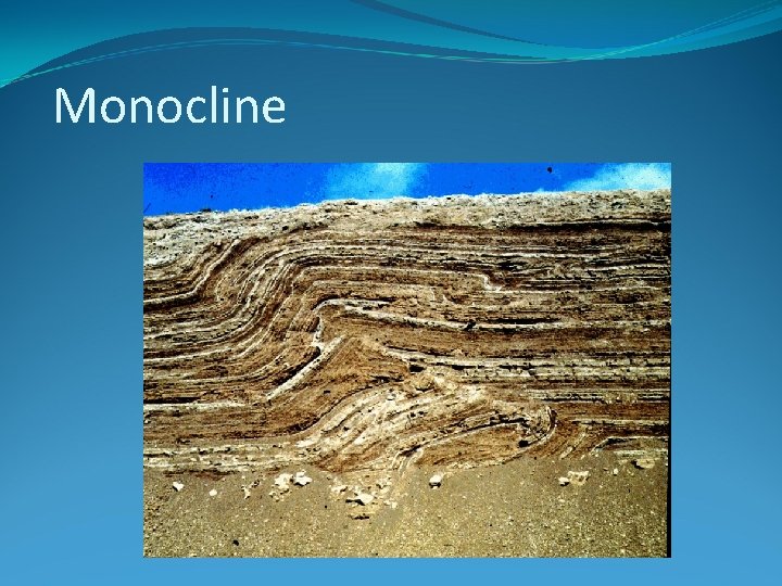 Monocline 