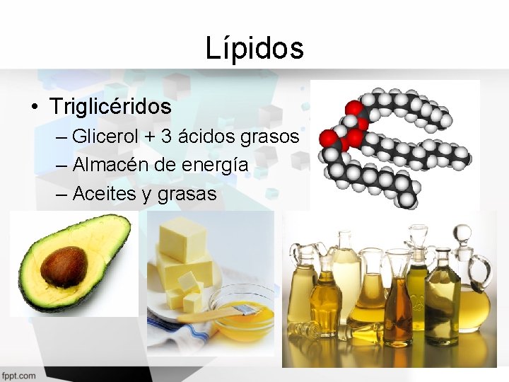 Lípidos • Triglicéridos – Glicerol + 3 ácidos grasos – Almacén de energía –