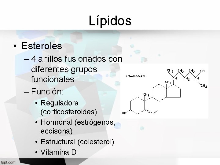 Lípidos • Esteroles – 4 anillos fusionados con diferentes grupos funcionales – Función: •