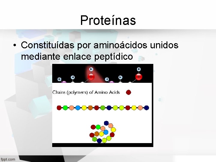 Proteínas • Constituídas por aminoácidos unidos mediante enlace peptídico 