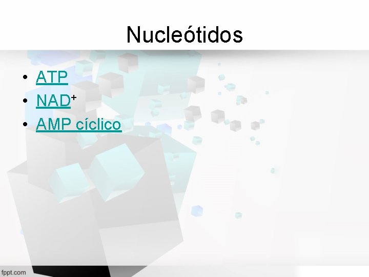 Nucleótidos • ATP • NAD+ • AMP cíclico 