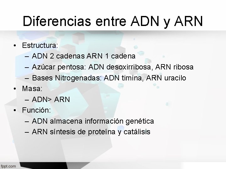 Diferencias entre ADN y ARN • Estructura: – ADN 2 cadenas ARN 1 cadena