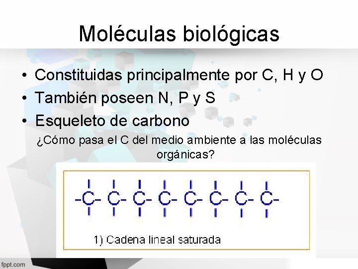 Moléculas biológicas • Constituidas principalmente por C, H y O • También poseen N,