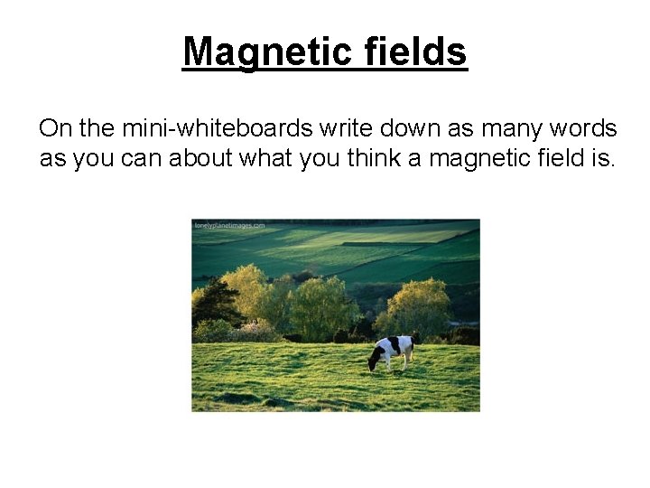 Magnetic fields On the mini-whiteboards write down as many words as you can about