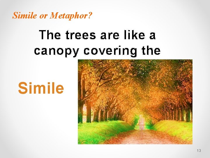 Simile or Metaphor? The trees are like a canopy covering the road. Simile 13