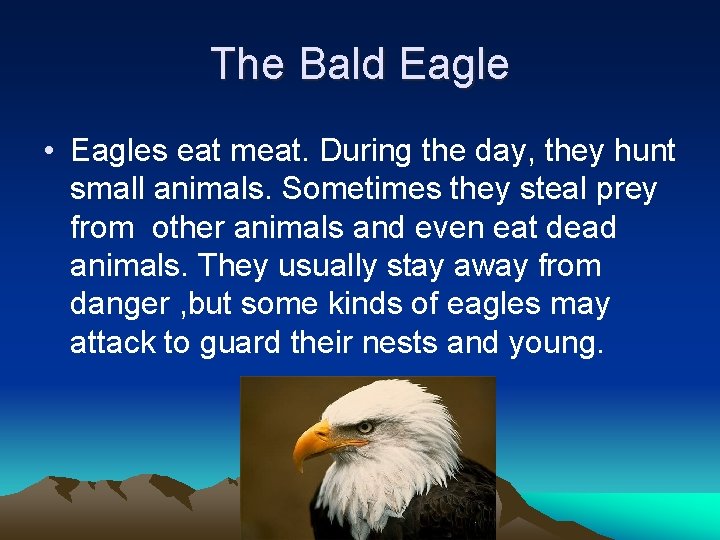 The Bald Eagle • Eagles eat meat. During the day, they hunt small animals.