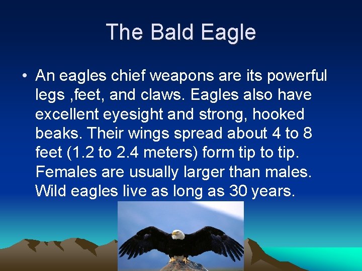 The Bald Eagle • An eagles chief weapons are its powerful legs , feet,