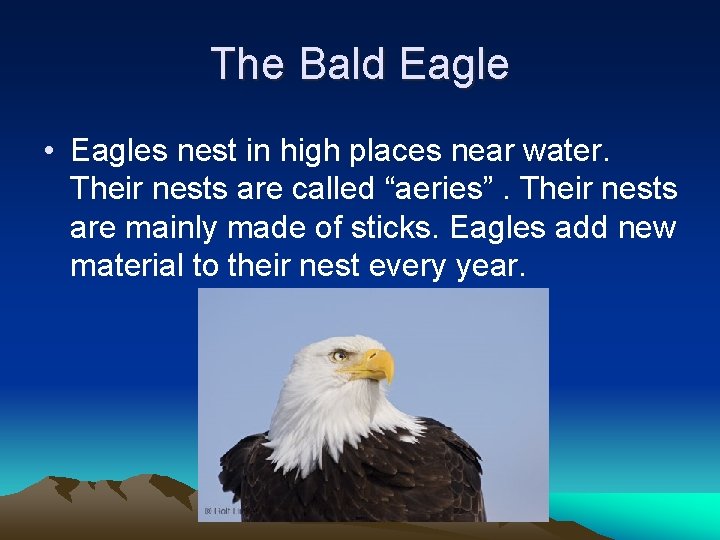 The Bald Eagle • Eagles nest in high places near water. Their nests are