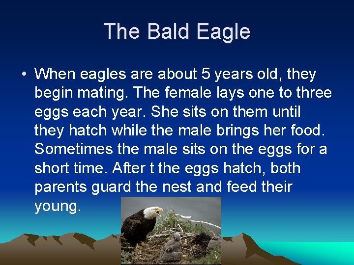 The Bald Eagle • When eagles are about 5 years old, they begin mating.