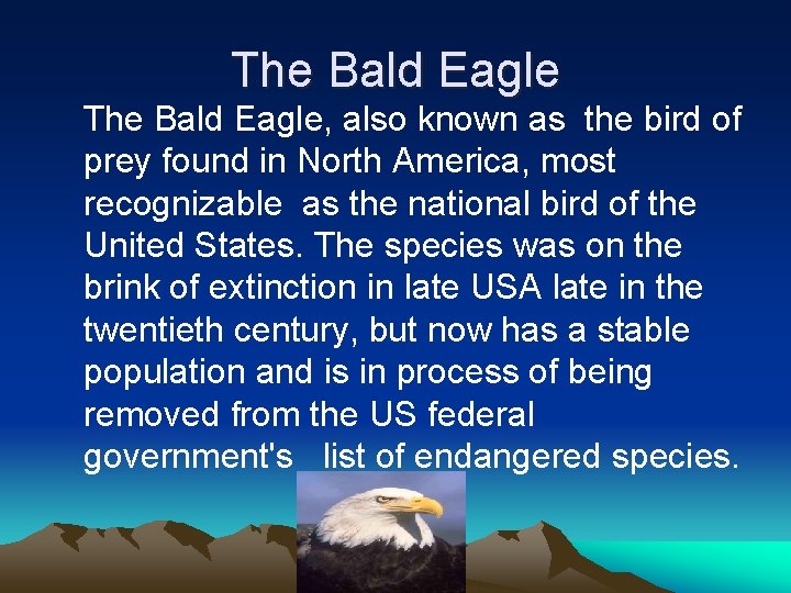 The Bald Eagle, also known as the bird of prey found in North America,