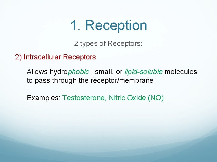 1. Reception 2 types of Receptors: 2) Intracellular Receptors Allows hydrophobic , small, or