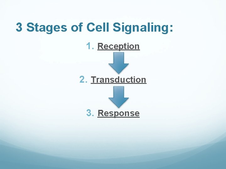 3 Stages of Cell Signaling: 1. Reception 2. Transduction 3. Response 