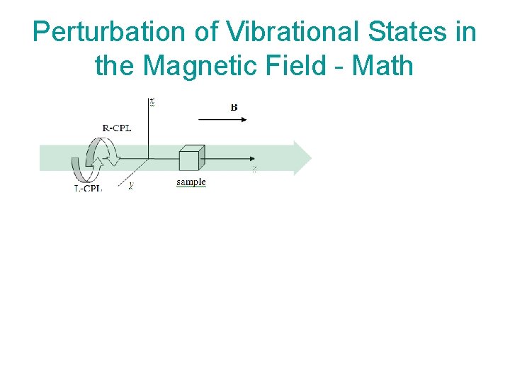 Perturbation of Vibrational States in the Magnetic Field - Math 