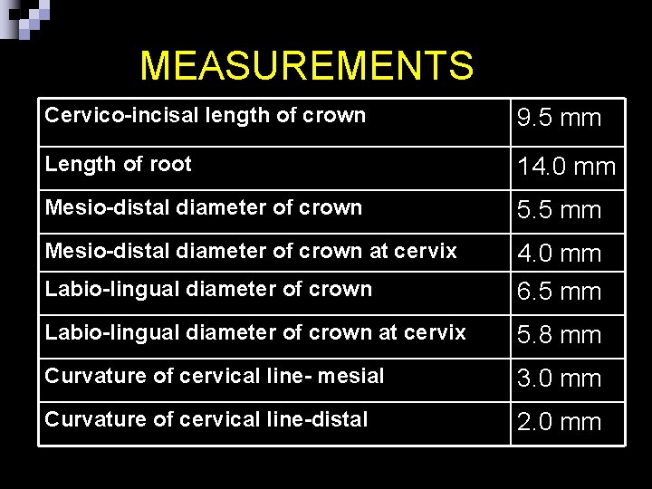 MEASUREMENTS Cervico-incisal length of crown 9. 5 mm Length of root 14. 0 mm