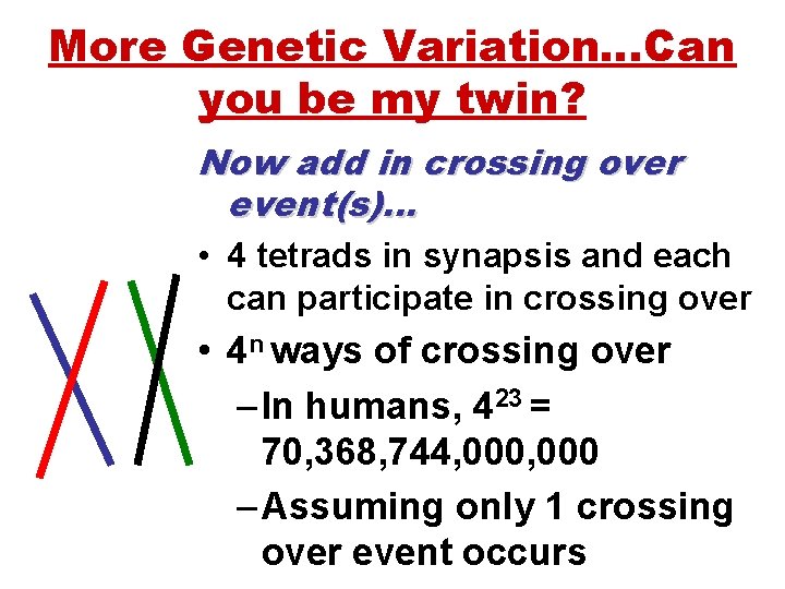 More Genetic Variation…Can you be my twin? Now add in crossing over event(s)… •