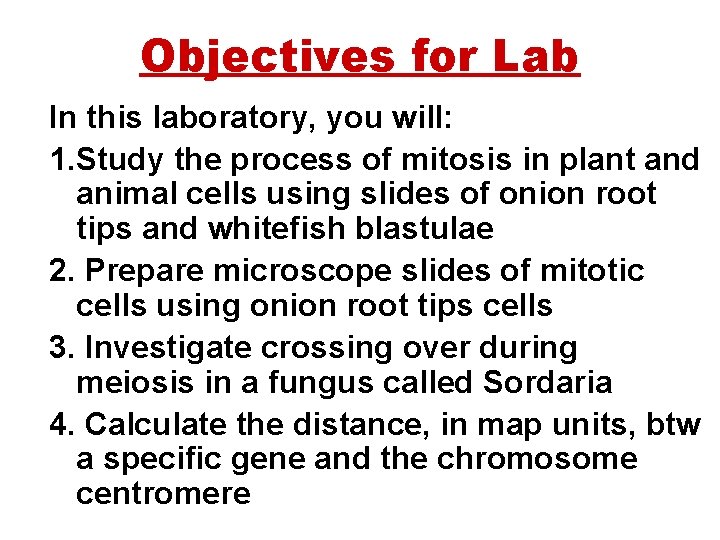 Objectives for Lab In this laboratory, you will: 1. Study the process of mitosis