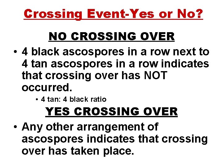 Crossing Event-Yes or No? NO CROSSING OVER • 4 black ascospores in a row