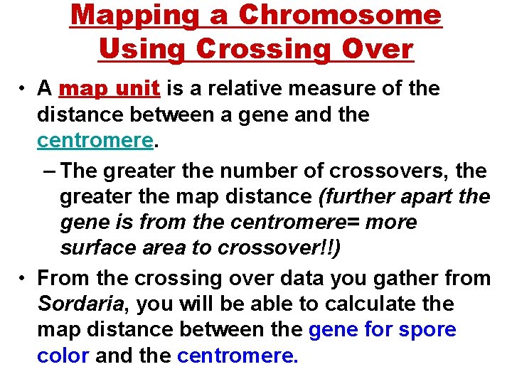 Mapping a Chromosome Using Crossing Over • A map unit is a relative measure