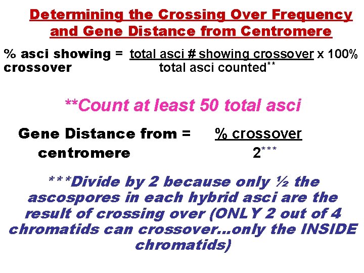 Determining the Crossing Over Frequency and Gene Distance from Centromere % asci showing =