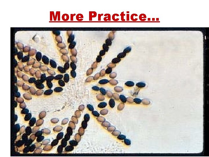 More Practice… 