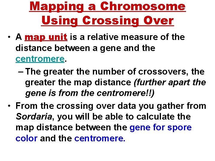 Mapping a Chromosome Using Crossing Over • A map unit is a relative measure