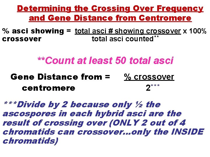 Determining the Crossing Over Frequency and Gene Distance from Centromere % asci showing =
